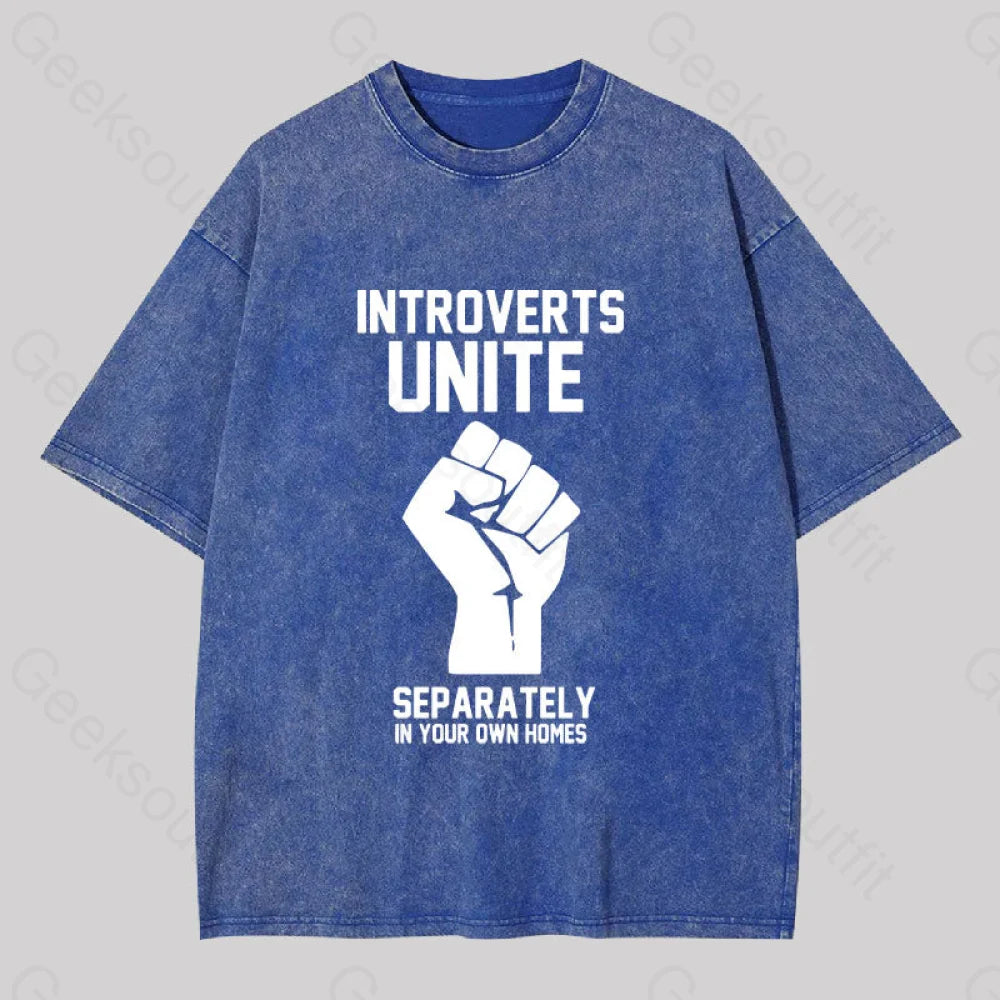 Introverts Unite Washed T-shirt